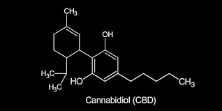 cannabydiol cbd