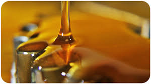 Cannabydiol CBD Oils
